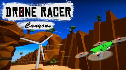 Drone racer: Canyons