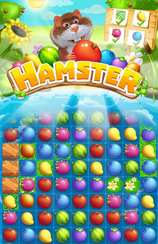 Hamster: Match 3 game