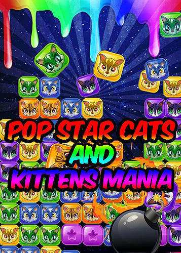 Pop star cats and kittens mania