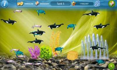 Aquarium avec poissons 