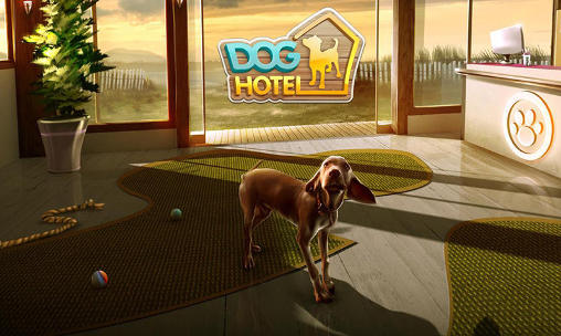 Hôtel de chien: Mon hôtel pour les chemins