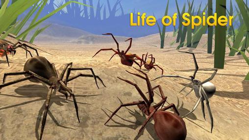 Vie de l'araignée 