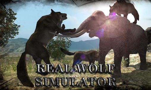 Simulateur réel du loup 