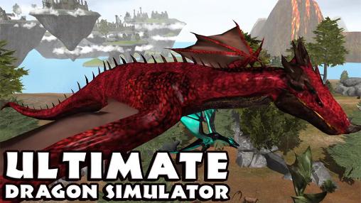 Simulateur parfait du dragon