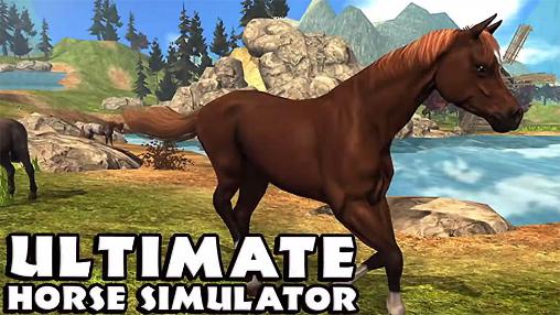 Simulateur parfait du cheval