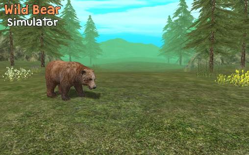 Simulateur d'un ours sauvage