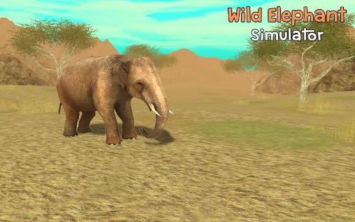 Simulateur de l'éléphant sauvage