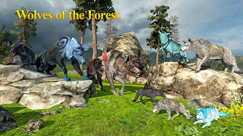 Loups de la forêt 