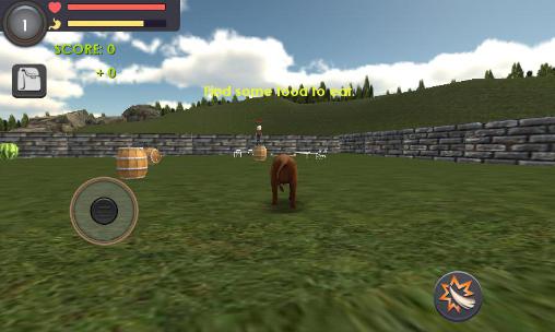 Simulateur du taureau 
