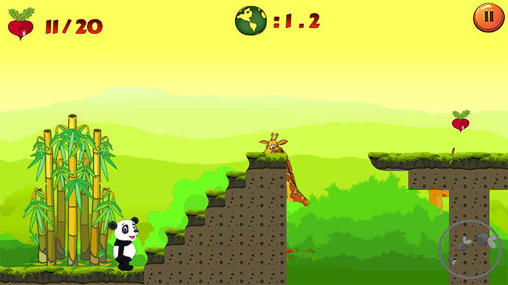 Course du panda à travers les jungles