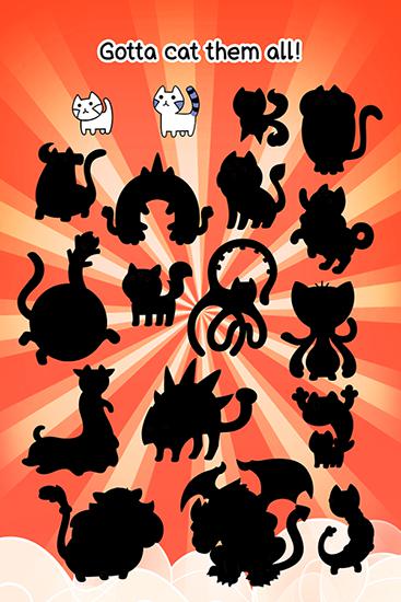Evolution de chats 