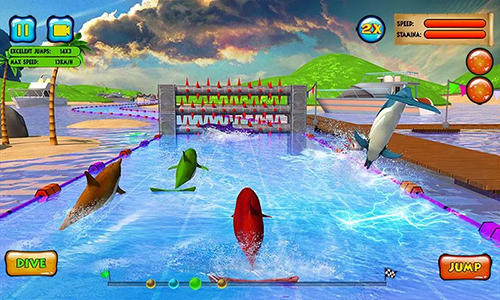 Courses de dauphins 3D