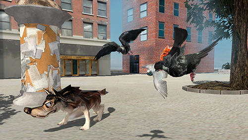Oiseau volant: Simulateur du pigeon 2