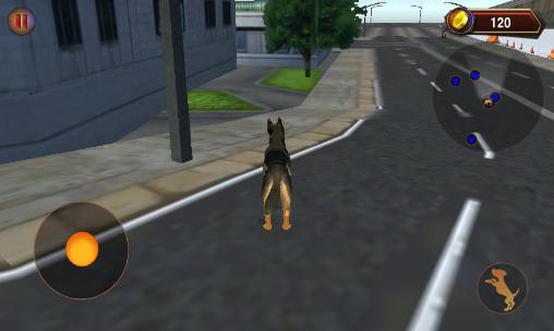 Simulateur du chien de police 3D