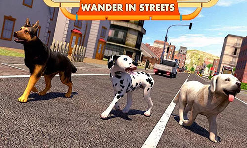 Simulateur du chien de rue 3D