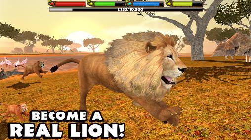 Simulateur maximal du lion