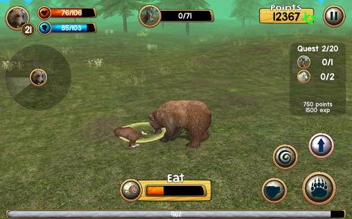Simulateur d'un ours sauvage