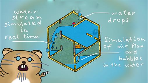 Hamster polisson et pyramide inondée: Dédale d'eau 