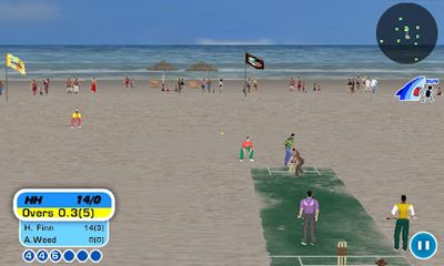 Cricket de plage 