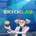 Avec le jeu Stickman fight 2018 pour Android téléchargez gratuitement Brick breaker lab sur le portable ou la tablette.