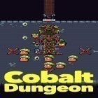 Avec le jeu Le Royaume des Nuages pour Android téléchargez gratuitement Cobalt dungeon sur le portable ou la tablette.