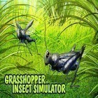 Avec le jeu Casse-tête avec les monstres: Jeu de rôle en 3D pour Android téléchargez gratuitement Grasshopper insect simulator sur le portable ou la tablette.