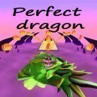 Avec le jeu Fiches  pour Android téléchargez gratuitement Perfect dragon sur le portable ou la tablette.