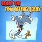 Avec le jeu Tetris blitz pour Android téléchargez gratuitement Chat fou: Tom guette Jerry  sur le portable ou la tablette.