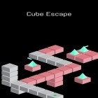 Avec le jeu Miami prison escape mission 3D pour Android téléchargez gratuitement Evasion cubique sur le portable ou la tablette.
