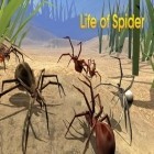 Avec le jeu Le Quest Logique 2 pour Android téléchargez gratuitement Vie de l'araignée  sur le portable ou la tablette.