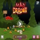 Avec le jeu Enigme: Aventures d'un espion minuscule pour Android téléchargez gratuitement Le Dragon Fou sur le portable ou la tablette.