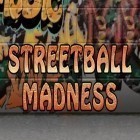 Avec le jeu La Dérnière Défense pour Android téléchargez gratuitement Streetball: Folie  sur le portable ou la tablette.