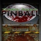 Avec le jeu La Course de Sonic pour Android téléchargez gratuitement Ecrasez le zombi: Pinball sur le portable ou la tablette.
