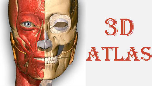 Télécharger l’app Guides Etude d'anatomie - 3D atlas   gratuit pour les portables et les tablettes Android.