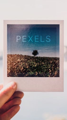 Télécharger l’app Revue des images Pexels gratuit pour les portables et les tablettes Android.