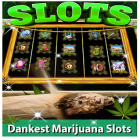 Avec le jeu Lost Words: Beyond the Page pour Android téléchargez gratuitement Kush Slots: Marijuana Casino, Lucky Weed Smokers sur le portable ou la tablette.