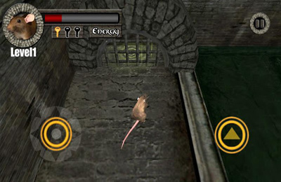 La Fuite des Rats 3D!