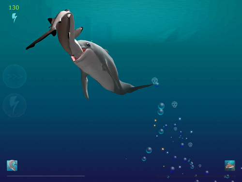 Dévoreur des requins: Elévation du dauphin
