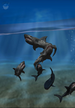 La Gueule du Requin 3D