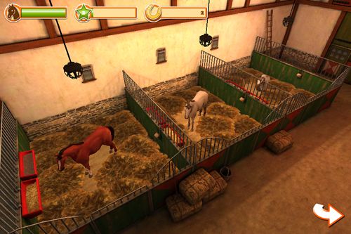 Monde de cheval 3D: Mon cheval de selle: Edition de Noёl