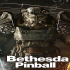 Avec le jeu Warhammer: Bond de Snotling pour iPhone téléchargez Bethesda: Pinball  ipa gratuitement.