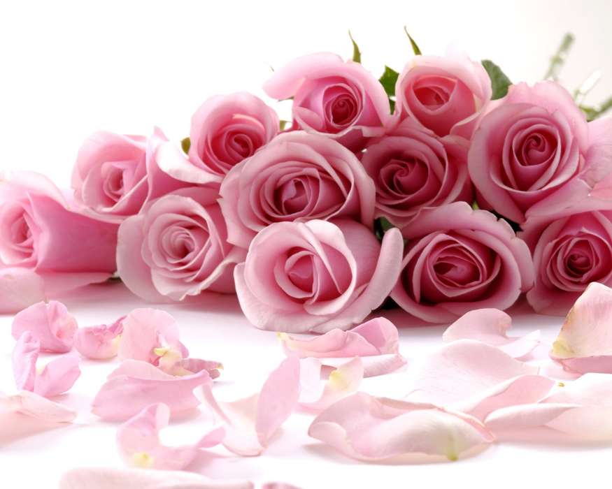Fêtes,Fleurs,Roses,Cartes postales,8 mars, journée internationale de la femme