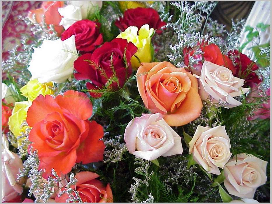 Fêtes,Plantes,Fleurs,Roses,8 mars, journée internationale de la femme