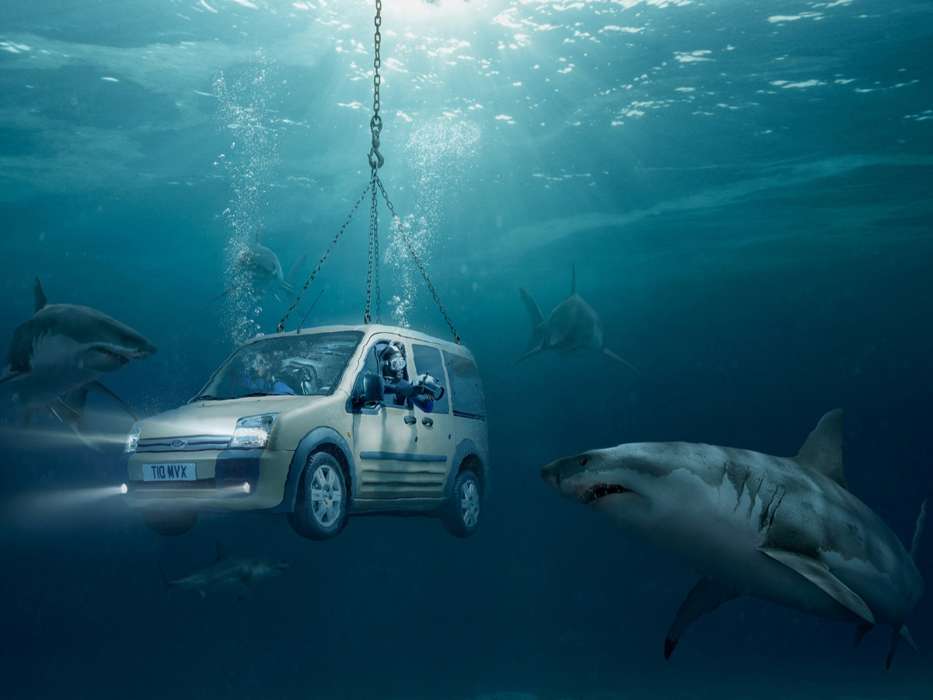 Humour,Voitures,Mer,Sharks,Ford
