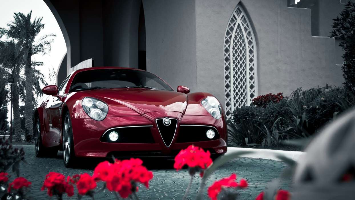 Alfa Romeo,Voitures,Transports