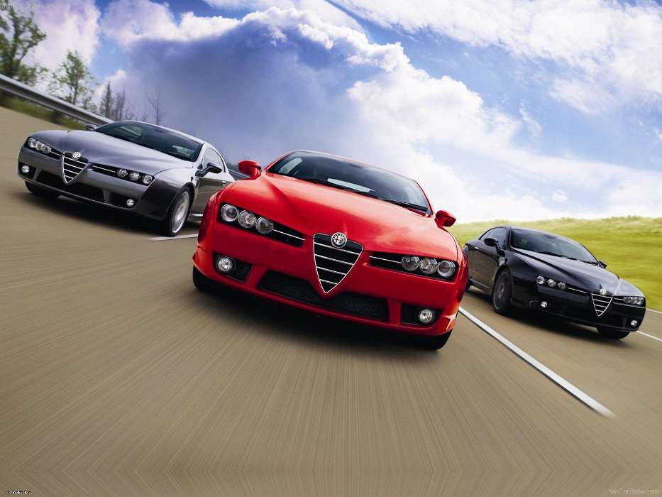 Transports,Voitures,Alfa Romeo