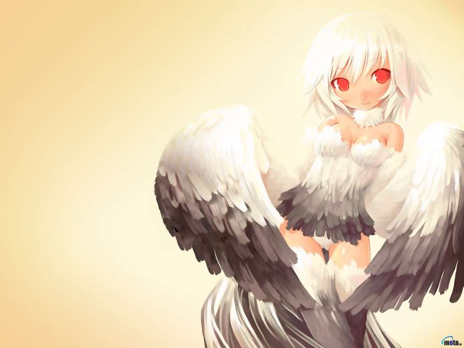 Anime,Anges