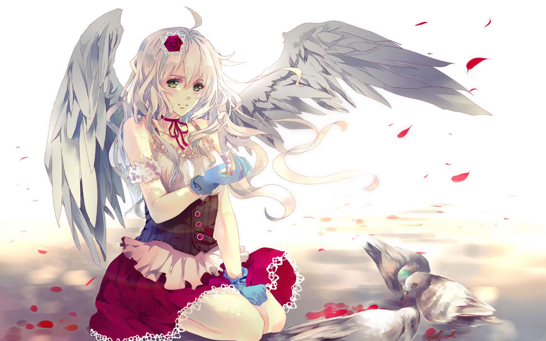 Anime,Filles,Anges
