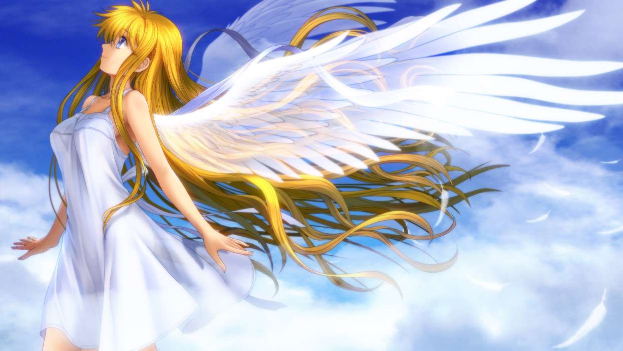 Anges,Anime,Filles