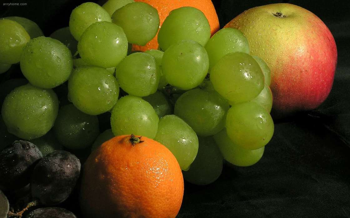 Fruits,Nourriture,Oranges,Cépages